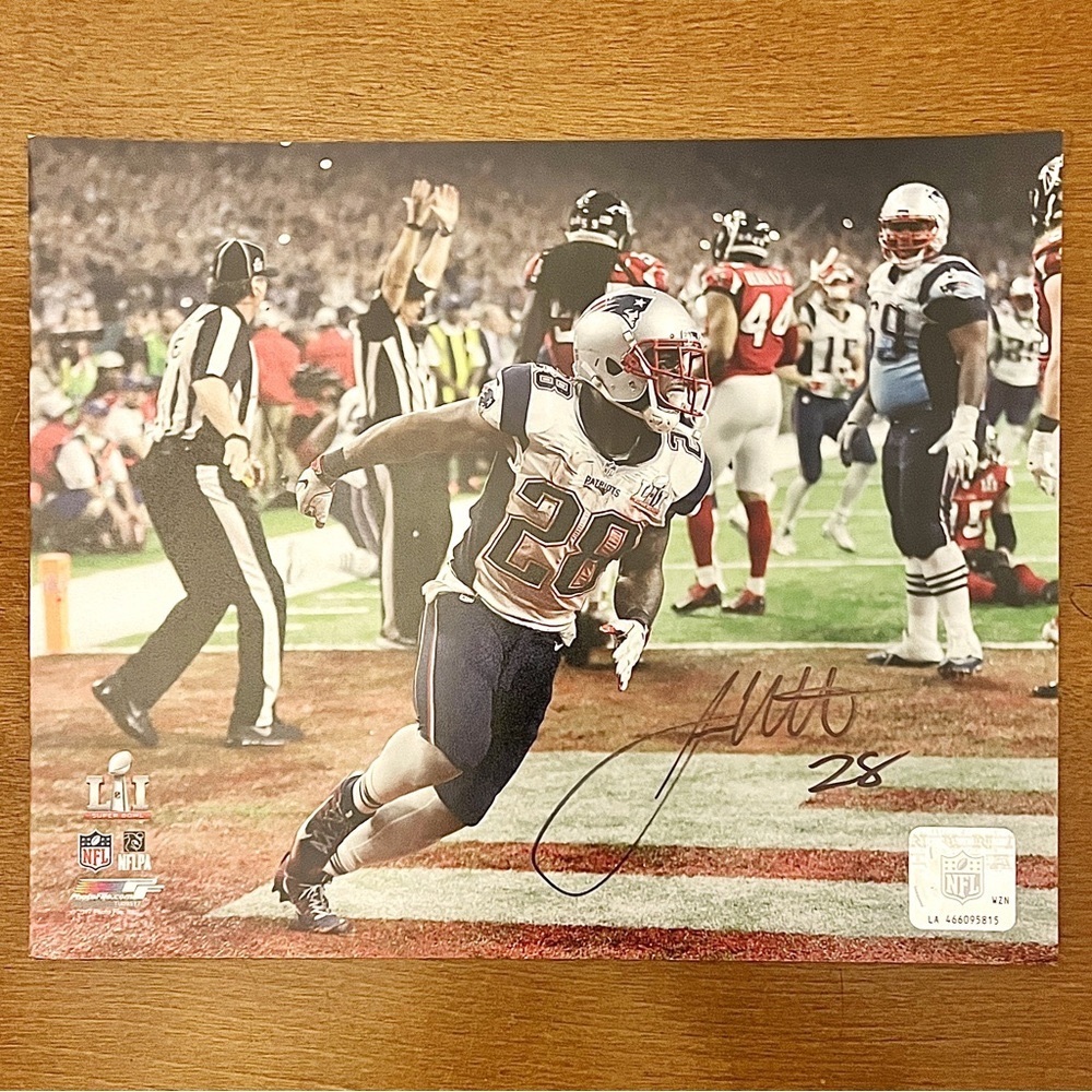 Autographed James White Super Bowl LI 8x10 Photo New England Patriots Touchdown